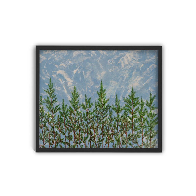 Nature Inspired "Reaching for the Sky" Canvas Wall Art By , Black Floater Framed Canvas, 16" H x 24" W