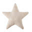 Stars Novelty Pillow Cover & Insert-2113191139