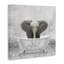 Bébé éléphant à l'heure du bain-71019229-71019231
