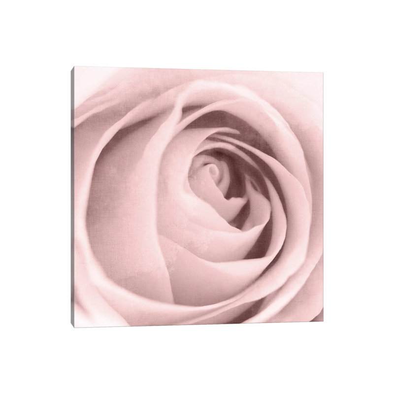 Rose Center II by Kimberly Allen - Wrapped Canvas Gallery-Wrapped Canvas Giclée, 30.48cm H x 30.48cm W