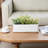 Indoor Ceramic White Rectangular Planter