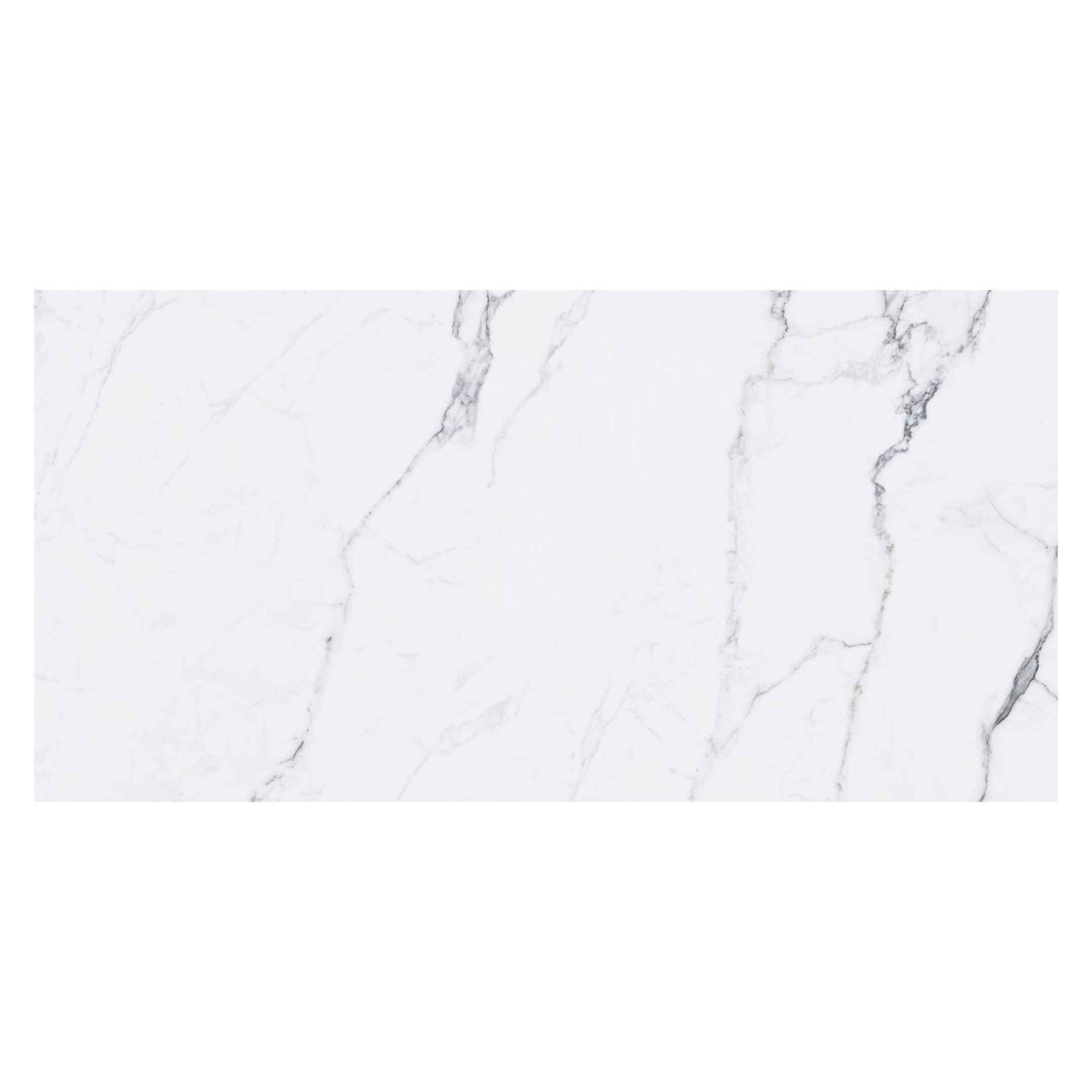 Qube Tiles Statuarietto 12" x 24" Marble Statuario Look Spanish Tile