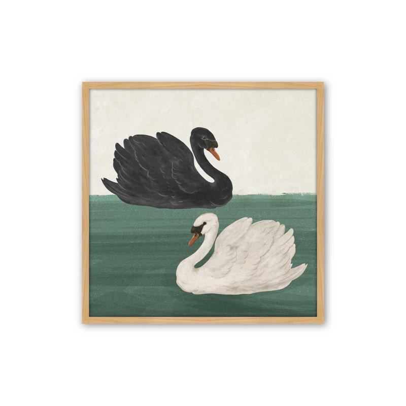 «Black Swan», reproduction d'art par Laura Graves, 12" H x 12" W, Maple
