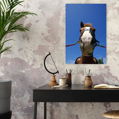 Faible angle de vue de cheval portant une bride, cheval, portrait contemporain, art mural