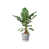 Living Concrete is out of stock selected