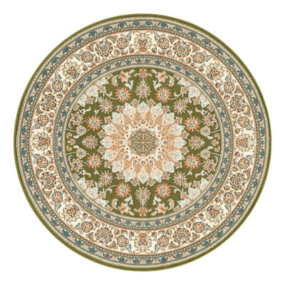 Indoor/Outdoor Traditional Area Rug