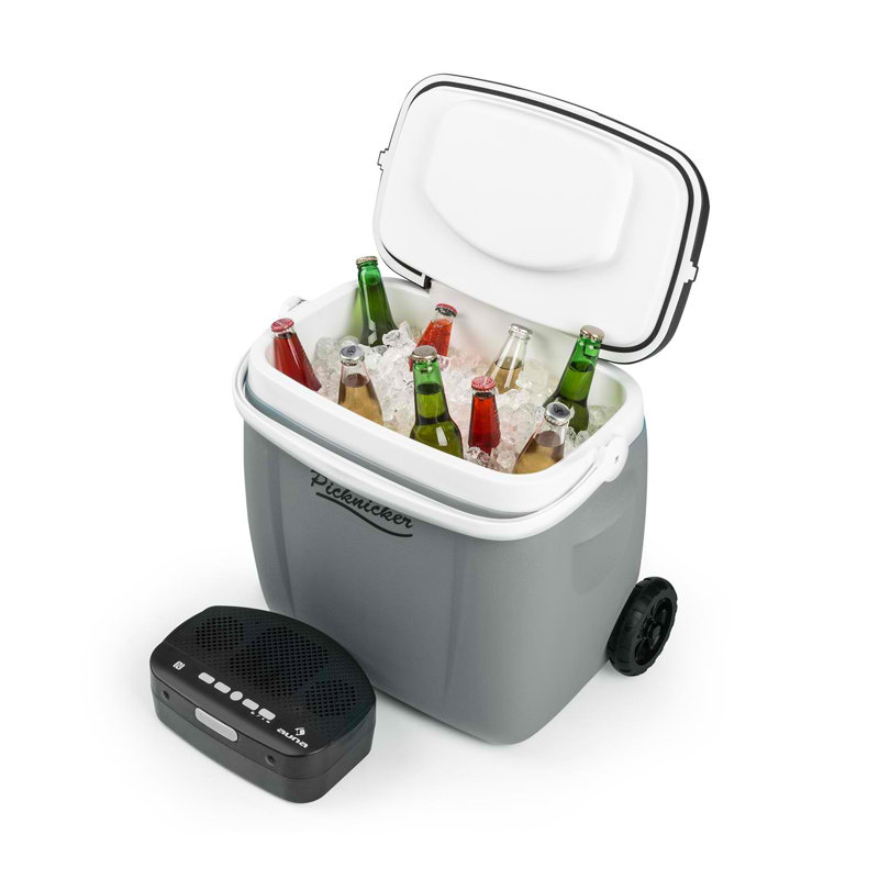 Auna Picknicker Music Trolley Cooler, Grey