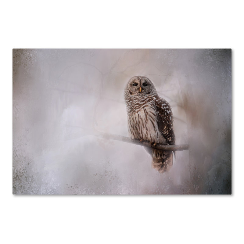 «Winter Owl» de Vidur, impression sur toile tendue, H 30 po x l 47 po