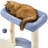 Wenham 90cm H Cat Tree