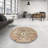 Aneira Oriental Indoor Rug-809063356