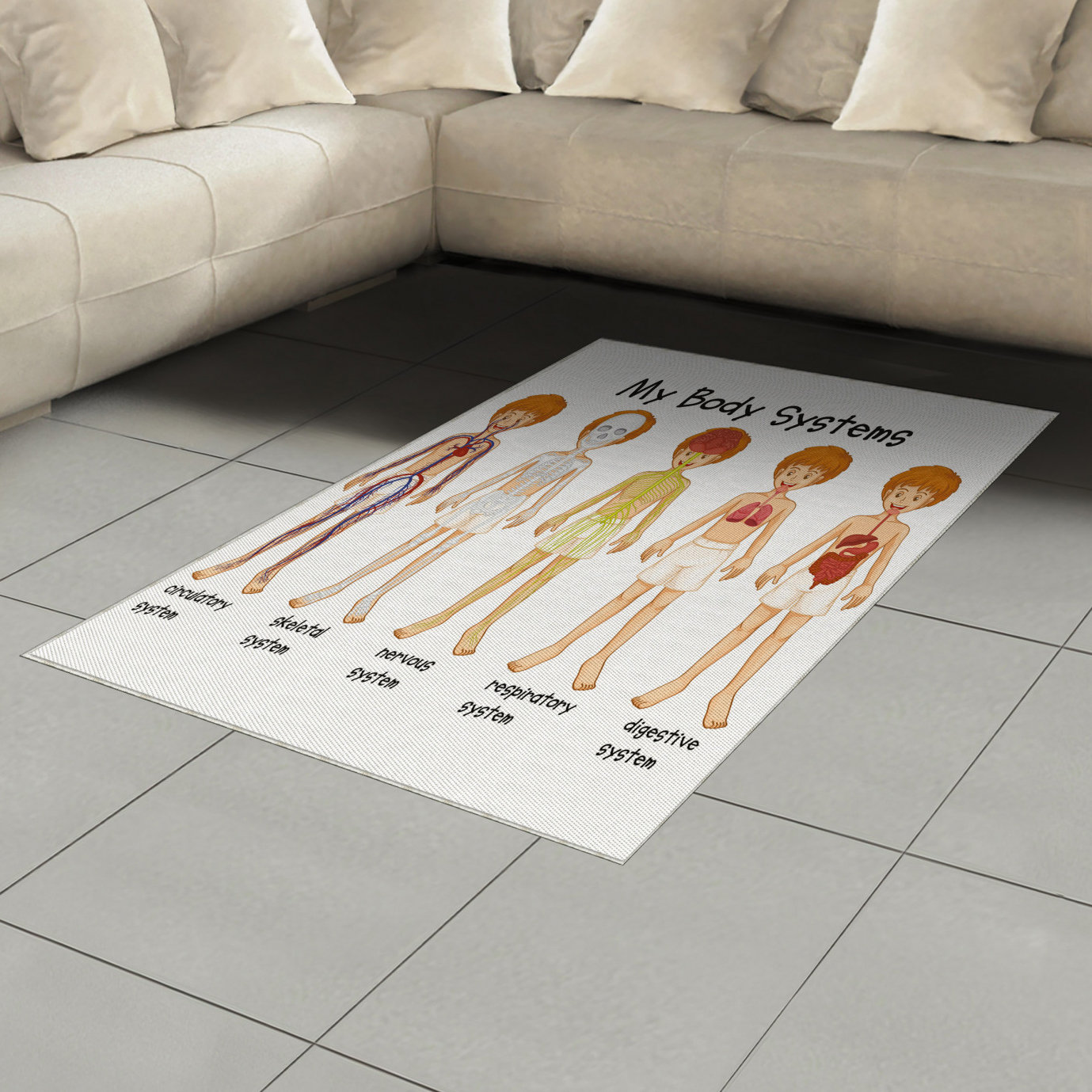 East Urban Home Educational Science High Density Long Fiber Poly ...