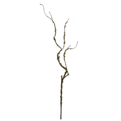 Rodriguez 36'' Faux Birch Branch