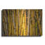 «Bamboo» par Mark A Paulda-101450463