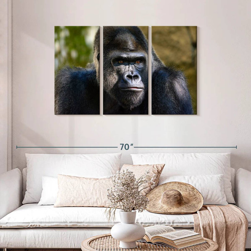 Mountain Gorilla