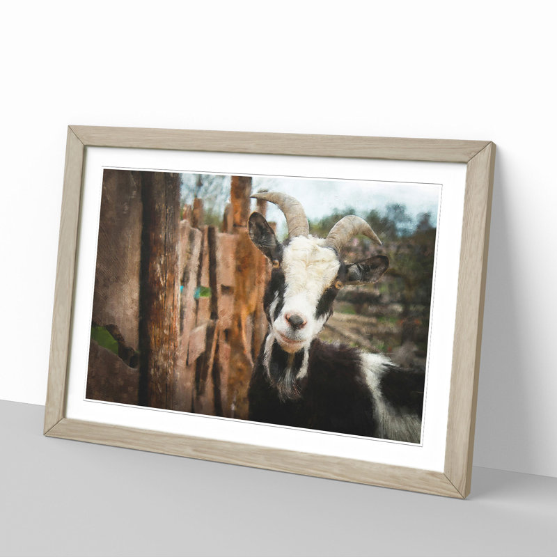 Goat Vol.1 - Picture Frame Painting, 48cm H x 65cm W x 2cm D, Oak Framed