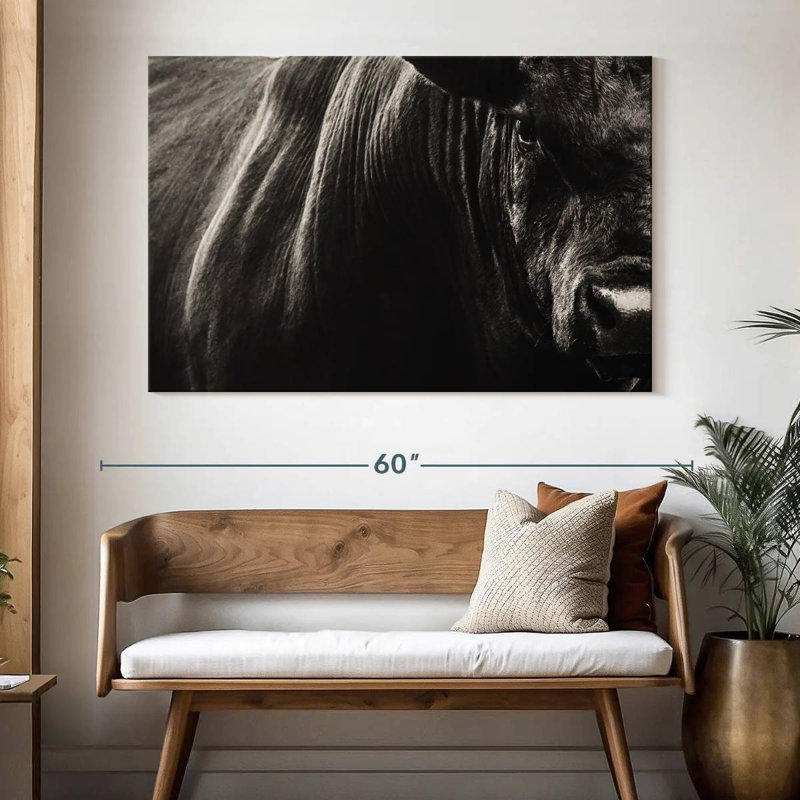 Black Angus Bull Close Up, 34" H x 51" W