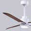 Alessandra - Three Blade Transitional Ceiling Fan -LED-1973181049-1988507036-1988507049