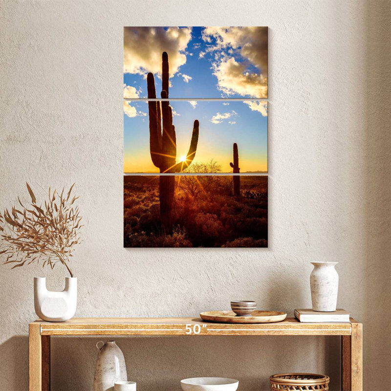 Parc national Nicci Saguaro Est V, H 38 po x l 24 po