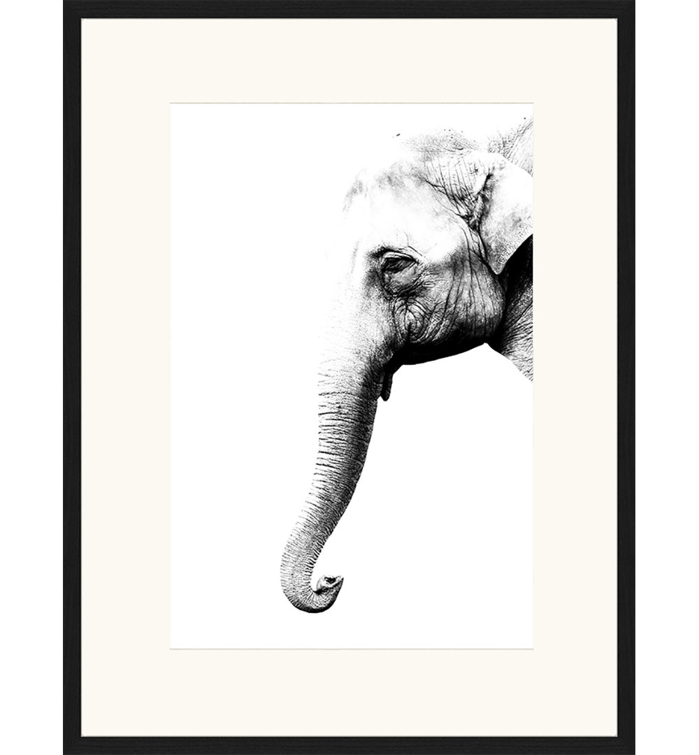 Elephant - Picture Frame Graphic Art Print on Paper