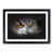Black Framed selected
