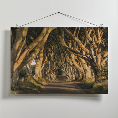 Wrapped Canvas Print