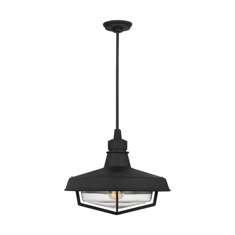 Textured Black and Clear Glass Indoor/Outdoor Pendant Light