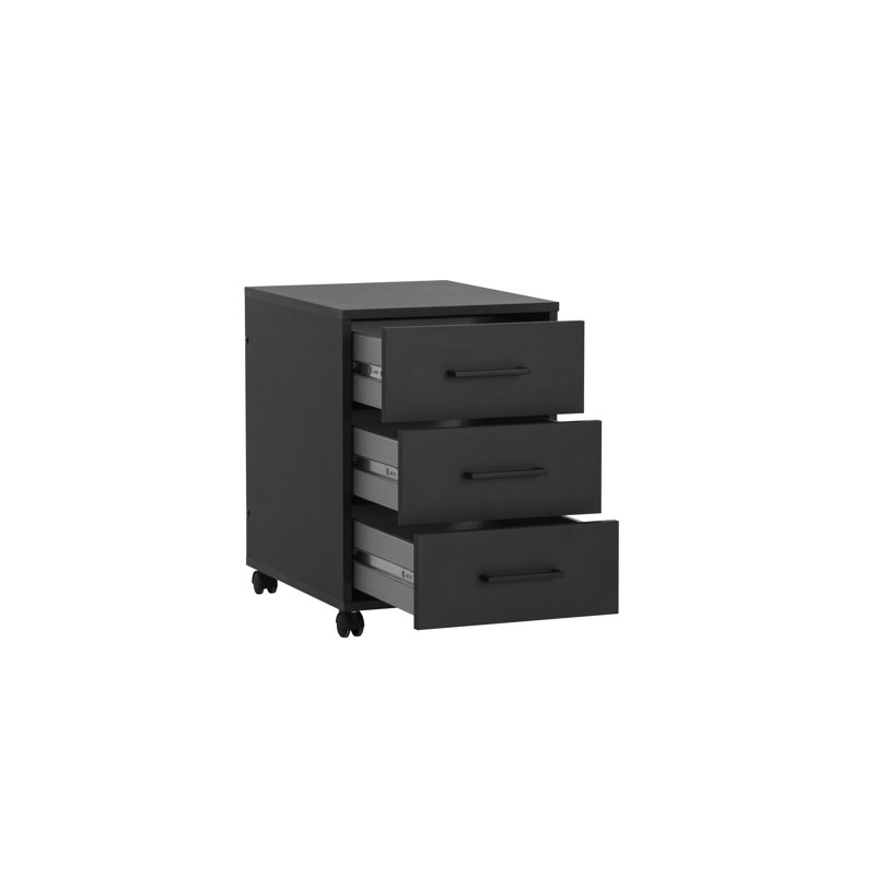 Nurein 40cm Wide 3 -Drawer Mobile File Cabinet, Black