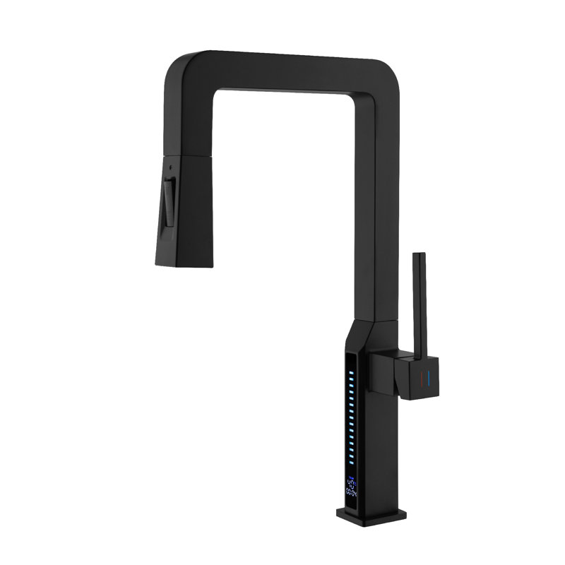 Robinets d'évier de cuisine pour évier avec douchette extractible, Noir mat