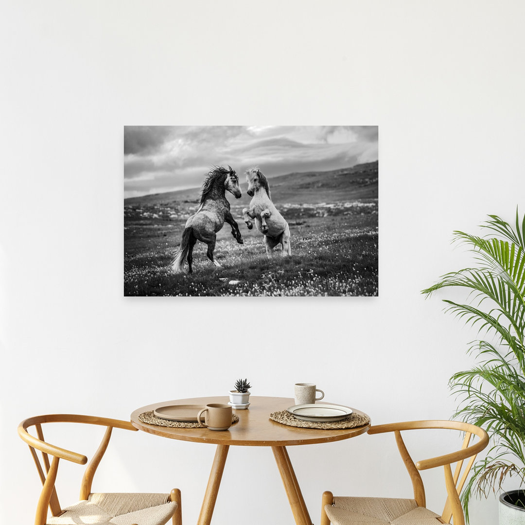 Wild Horses Rearing Dramatic Contemporary Horse Nature Wildlife Wall Art Print