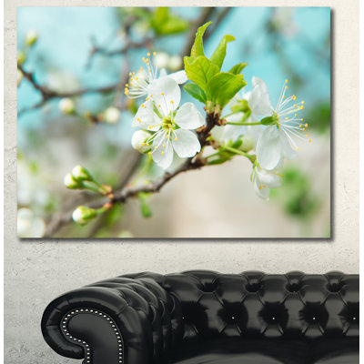 " Beautiful Cherry Blossom N Spring "