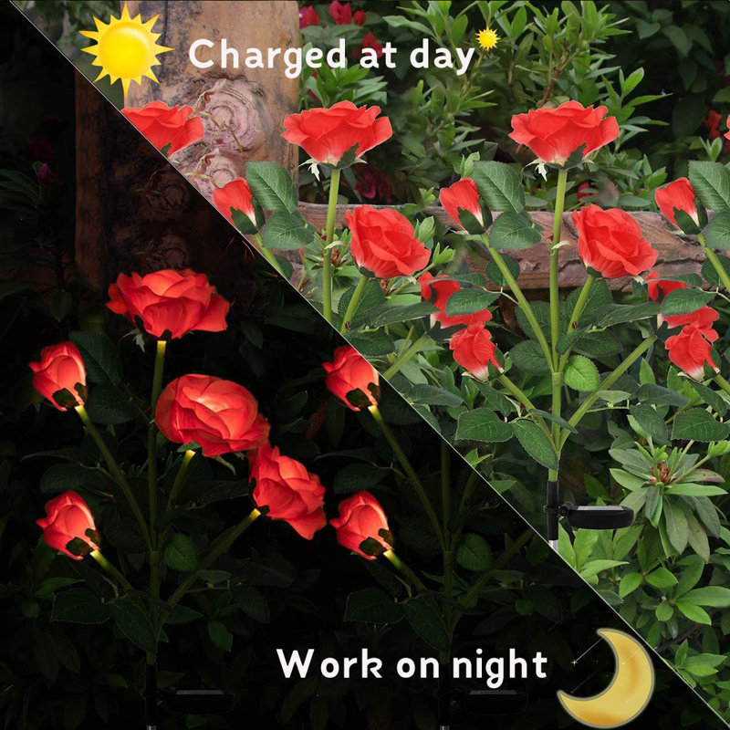 Solar Powered LED Multicolor Rose Pathway Lights