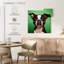 Boston Terrier Brampt Attentive-109119350