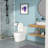 Ceramic One Piece Toilet,Dual Flush With Soft Clsoing Seat