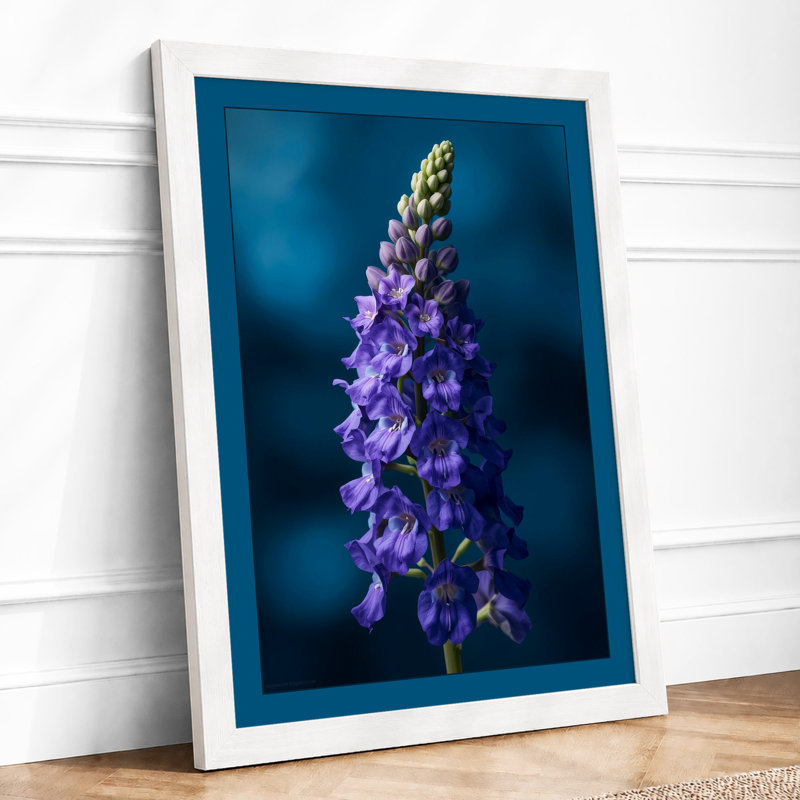 Lupine Study Botanical - Framed Print, A1 - 84.1 x 59.4 cm, White