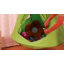 Classic Hammock-324027797