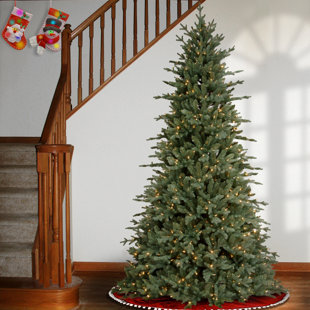 https://assets.wfcdn.com/im/10318361/resize-h310-w310%5Ecompr-r85/2501/250100684/7.5%2527+Artificial+Spruce+Christmas+Tree+with+Clear+Lights.jpg