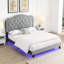Upholstered Button Queen Bed In Grey Velvet - Curve Style Strong Wood Slat Foundation Led Lights Easy Assembly No Box Spring Required Grey Look Support-989889053