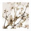 Thinking Of Early Spring V Print by Sofia Fox-26772252-26772256