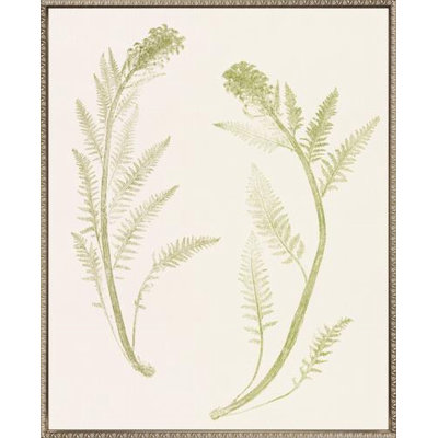 Floral Trace II Canvas Wall Art