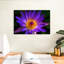 Harnek Hawaiian Water Lily-107668844