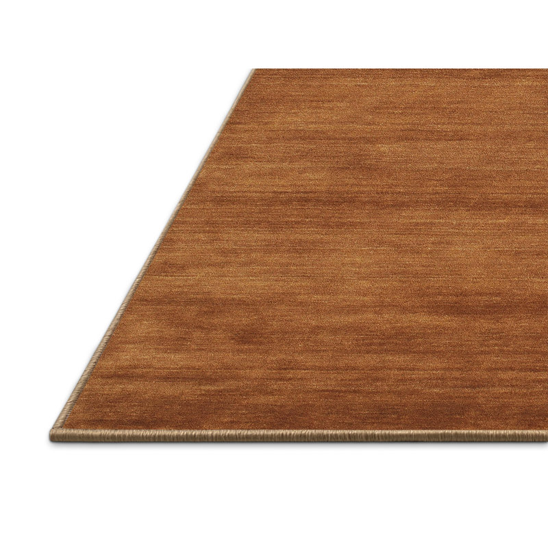 Tapis brun contemporain, Rectangle 2 pi x 5 pi