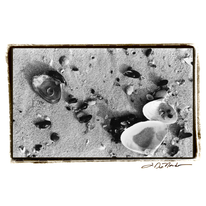 Sand Treasures I by Laura DeNardo - Wrapped Canvas Print, 20cm H x 30cm W x 3.8cm D