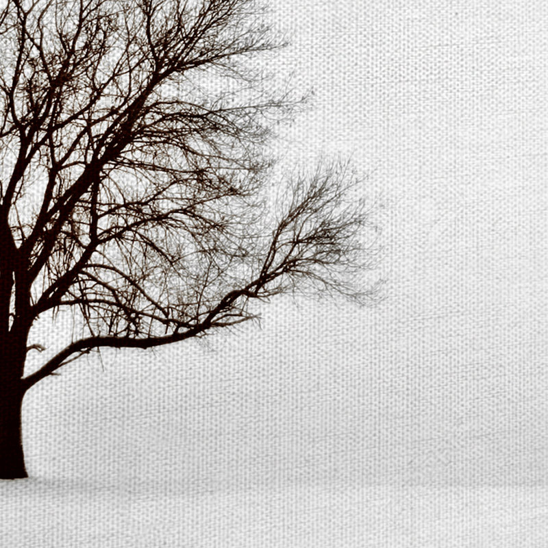 «Dream» par Ilona Wellmann, impression sur toile, H 28 po x l 22 po x P 1,5 po