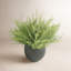 Astilbe Arrangement In A Fiberstone Pot
