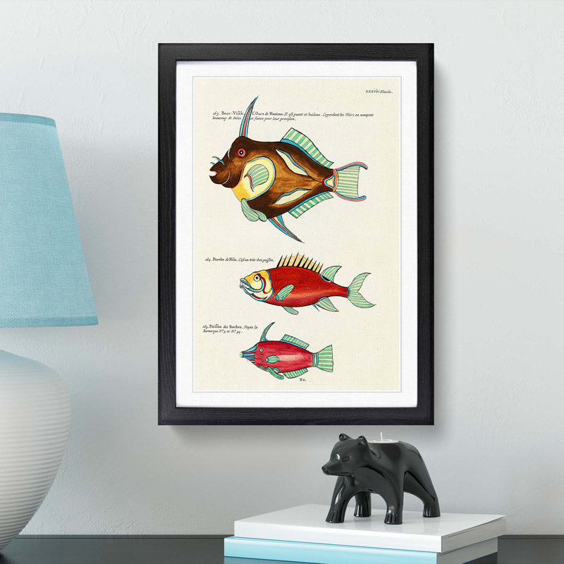 East Indies Fish Illustrations XXXVI by Louis Renard - Picture Frame Graphic Art Print, Black Framed, 36cm H x 27cm W x 2cm D