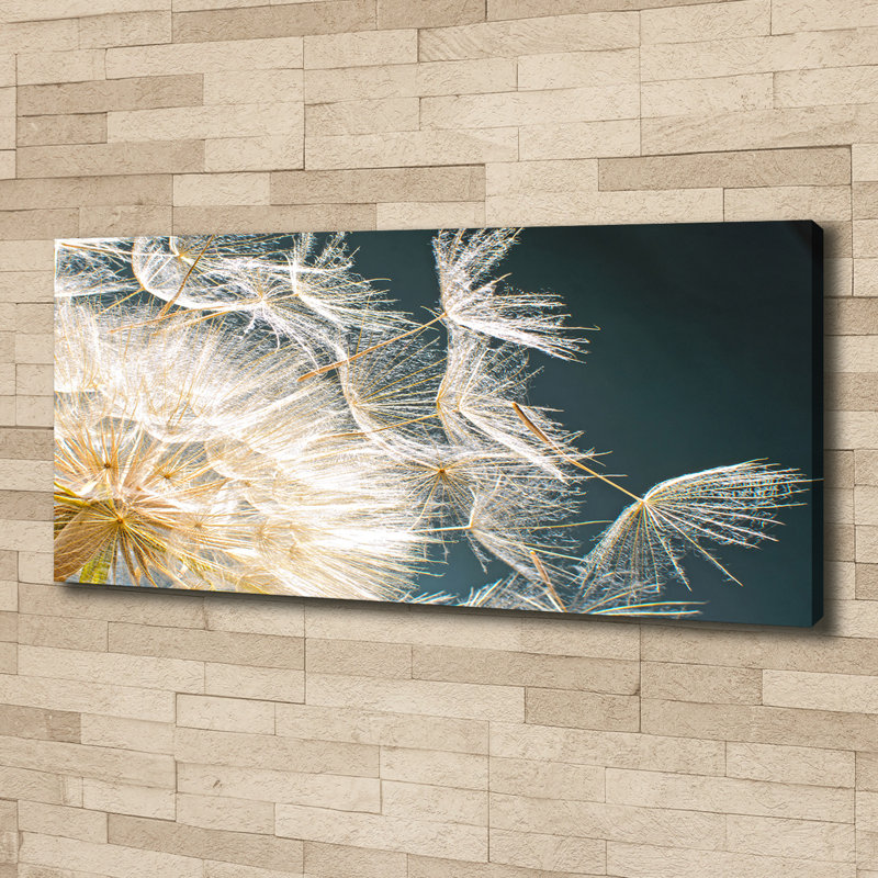 Dandelion Seeds - Wrapped Canvas Print