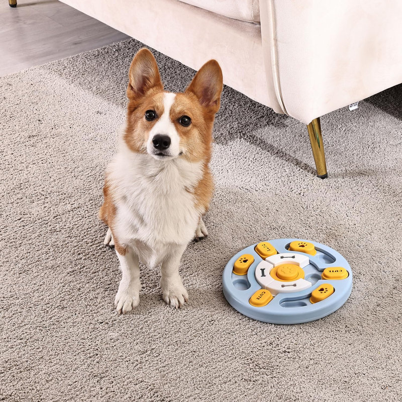 Distributeur de nourriture pour chien, Bleu jaune