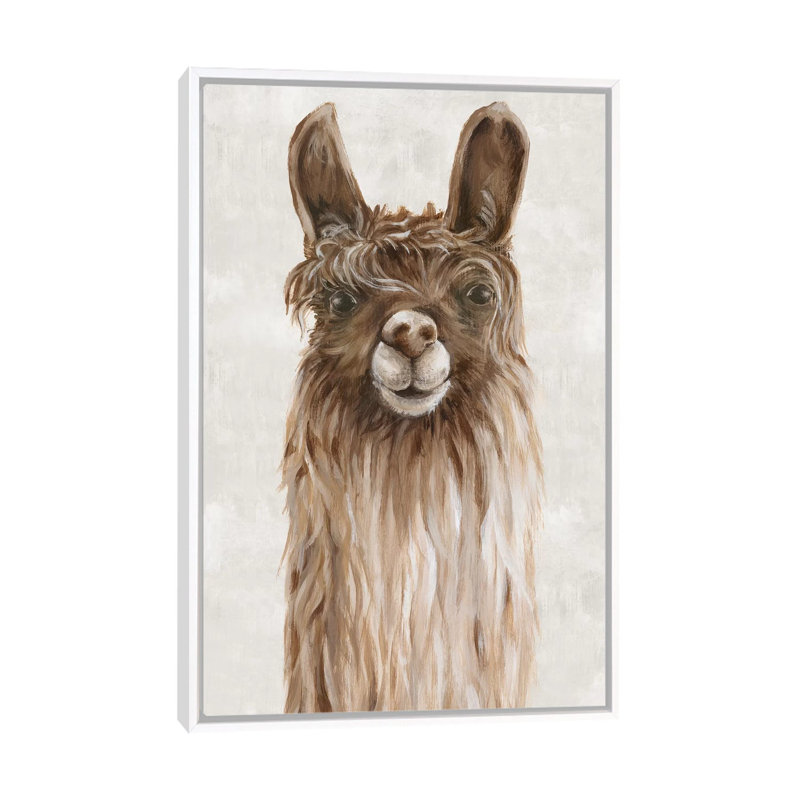 «Suri Alpaca I» par Eva Watts - reproduction d'art, Non mat, H 26 po x l 18 po x 1,5 po, Toile blanche encadrée