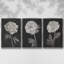 Fleurs noires et blanches I 3 pièces-97758183-97758184
