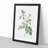 Autumn Damask Rose by Pierre-Joseph Redoute - Single Picture Frame Painting-55456892-55456889